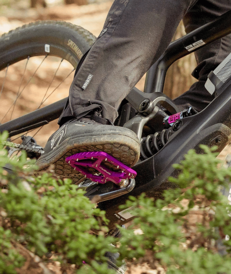 All you need to know