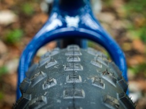 Voytek_Blue_detail_03_0f8c5b7c-08d3-48a7-8239-72546f01118e