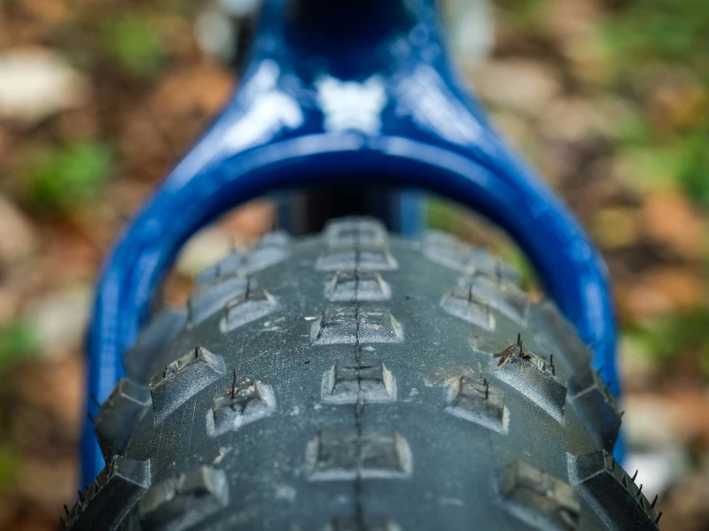 Voytek_Blue_detail_03_0f8c5b7c-08d3-48a7-8239-72546f01118e