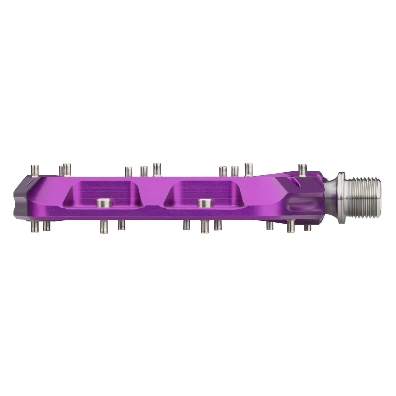 PDL-WF-PRP-03.jpg.webp