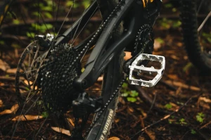 WolfTooth_WaveformPedals_2023_13.jpg.webp