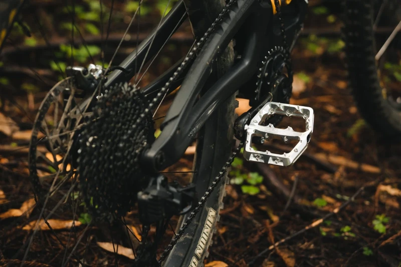 WolfTooth_WaveformPedals_2023_13.jpg.webp