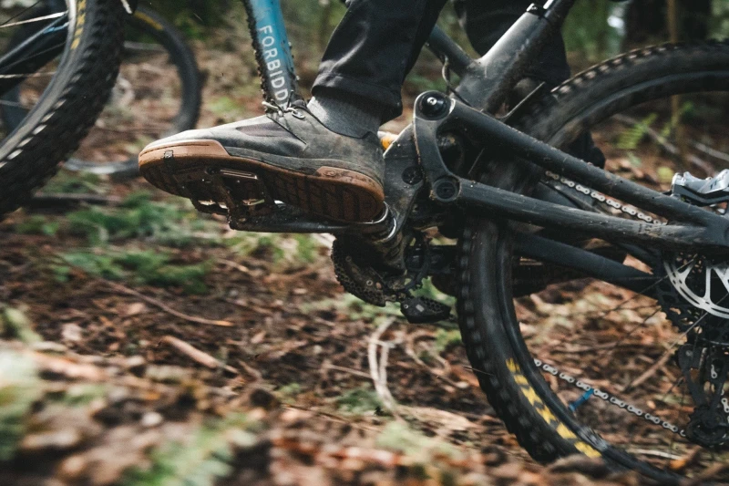 WolfTooth_WaveformPedals_2023_15.jpg