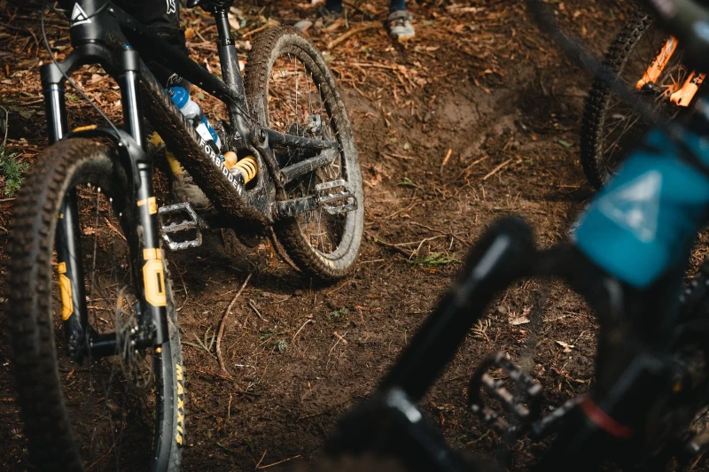 WolfTooth_WaveformPedals_2023_17.jpg.webp
