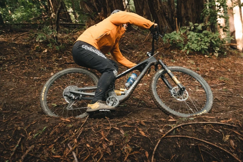 WolfTooth_WaveformPedals_2023_18.jpg.webp