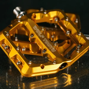 WT25_Waveform_GOLD_DSC07594_square.jpg.webp