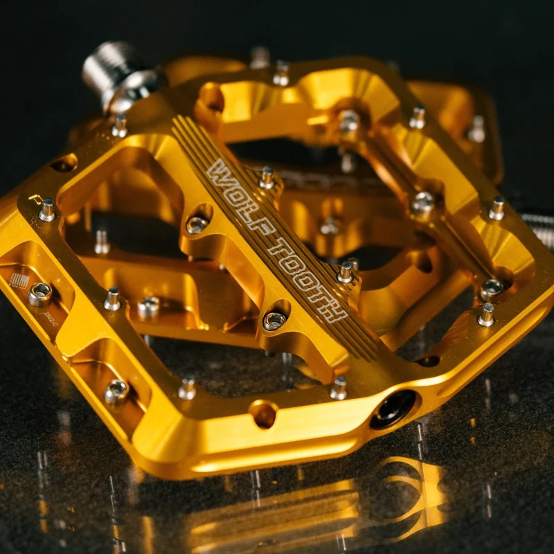 WT25_Waveform_GOLD_DSC07594_square.jpg.webp