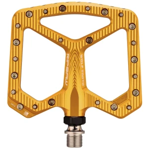 PDL-RS-GLD-02.jpg.webp