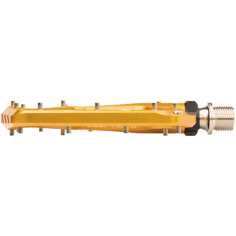 PDL-RS-GLD-04.jpg.webp