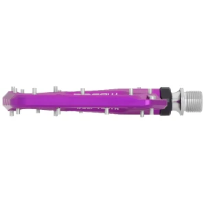 PDL-RS-PRP-04.jpg.webp