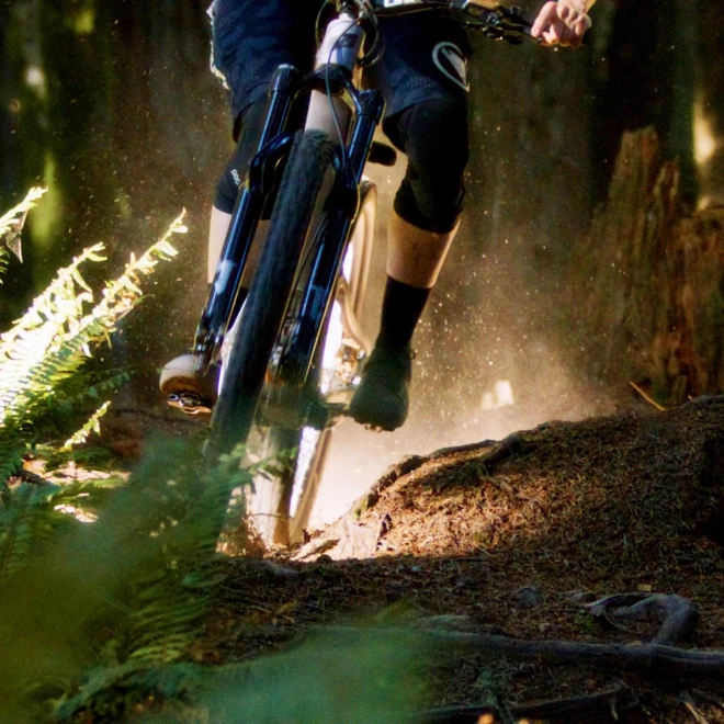O Pogo Bikes